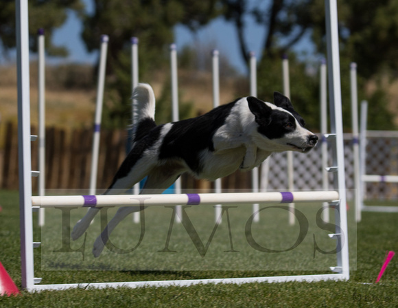 nadac jumpers 8252019 (157 of 1382)-16
