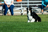 Agility Bayfield 2016