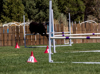 nadac jumpers 8252019 (533 of 1382)-18