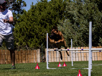 nadac jumpers 8252019 (1009 of 1382)-8