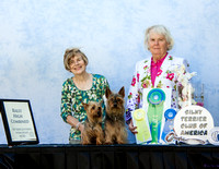 stca obedience wins day 1