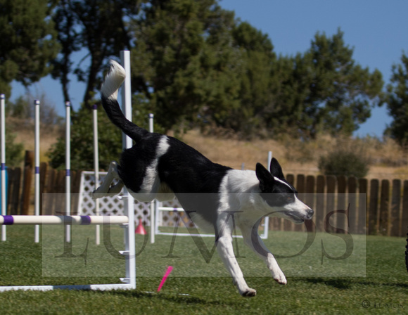 nadac jumpers 8252019 (160 of 1382)-19