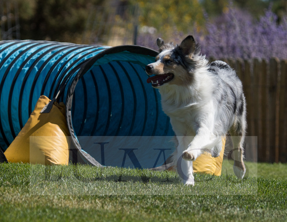 nadac jumpers 8252019 (149 of 1382)-11