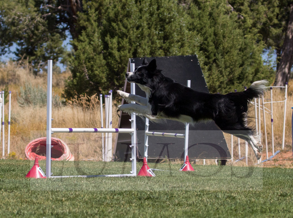 nadac jumpers 8252019 (506 of 1382)-4