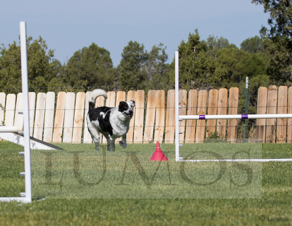nadac 8252019 (652 of 1142)-2