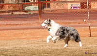 barn-lure-jake-2-6