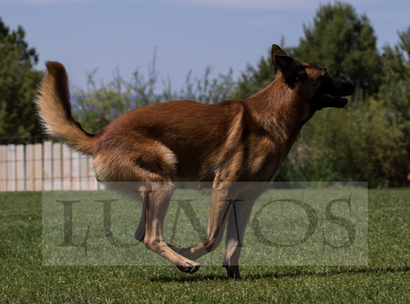 nadac jumpers 8252019 (1001 of 1382)-2
